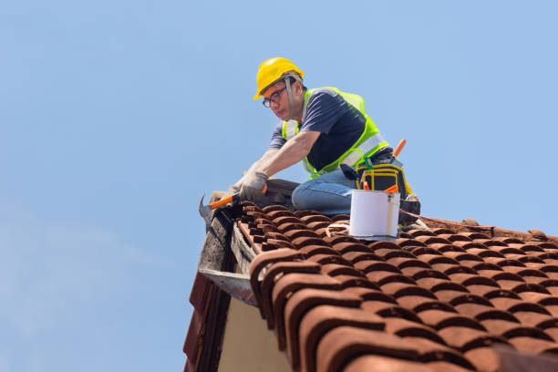 Best Commercial Roofing Services  in Terre Haute, IN